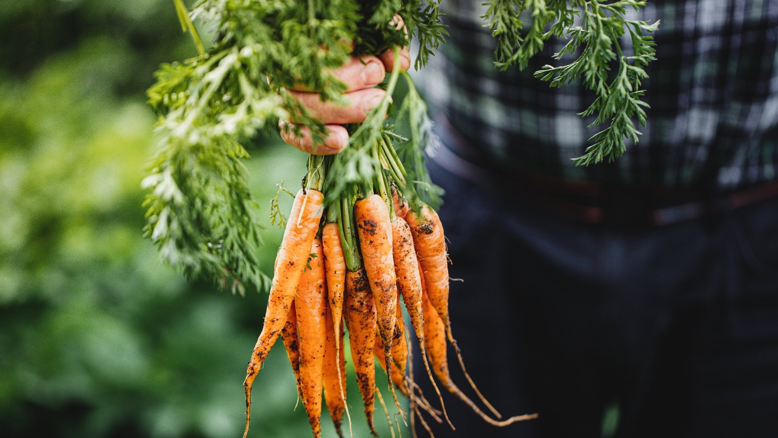 Directement à la source: 10 magasins de ferme à visiter en Irlande