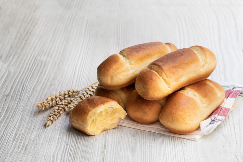 Baker britannique s'étendant avec une nouvelle plante