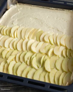 Gâteau de pomme de la tôle