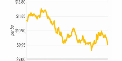 Corn américain, soja sous pression par des tarifs