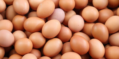 La montée des œufs provoque des maux de tête pour les boulangers