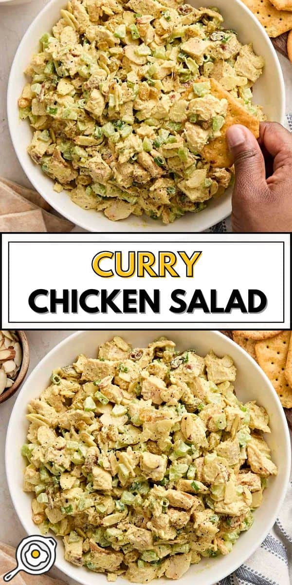 Image de broches de salade de poulet au curry