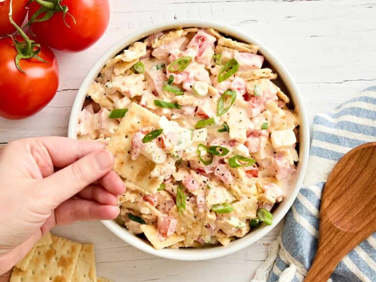 Overhead view of a bowl of tomato cracker salad with a hand dipping a cracker in.