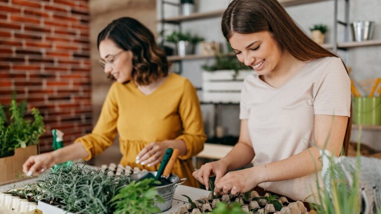 Comment grandir et préserver les herbes pratiques à la maison