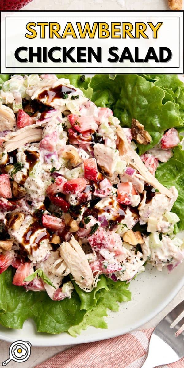 Image d'épingle à salade de poulet aux fraises