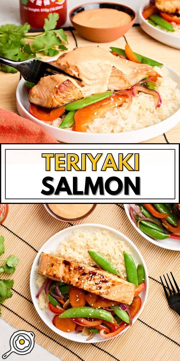 image de broche de saumon teriyaki