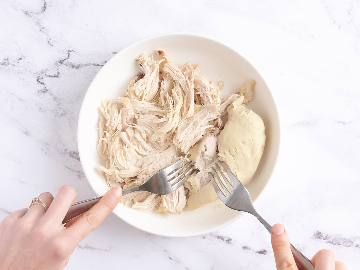 Deux fourchettes déchiquetant les poitrines de poulet sur une assiette.