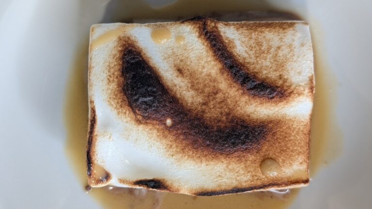 Gâteau de mousse au chocolat de Kevin Aherne avec une malvelope grillée