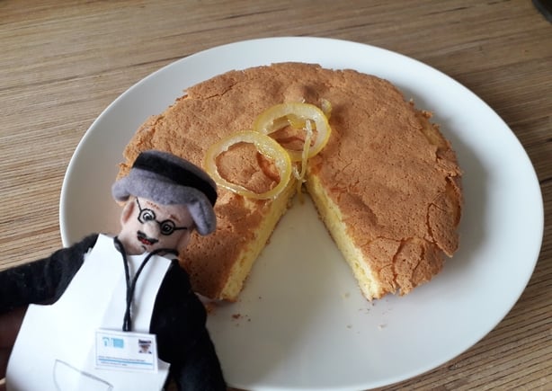 Une photo d'un gâteau au citron maison avec un jouet en peluche à côté