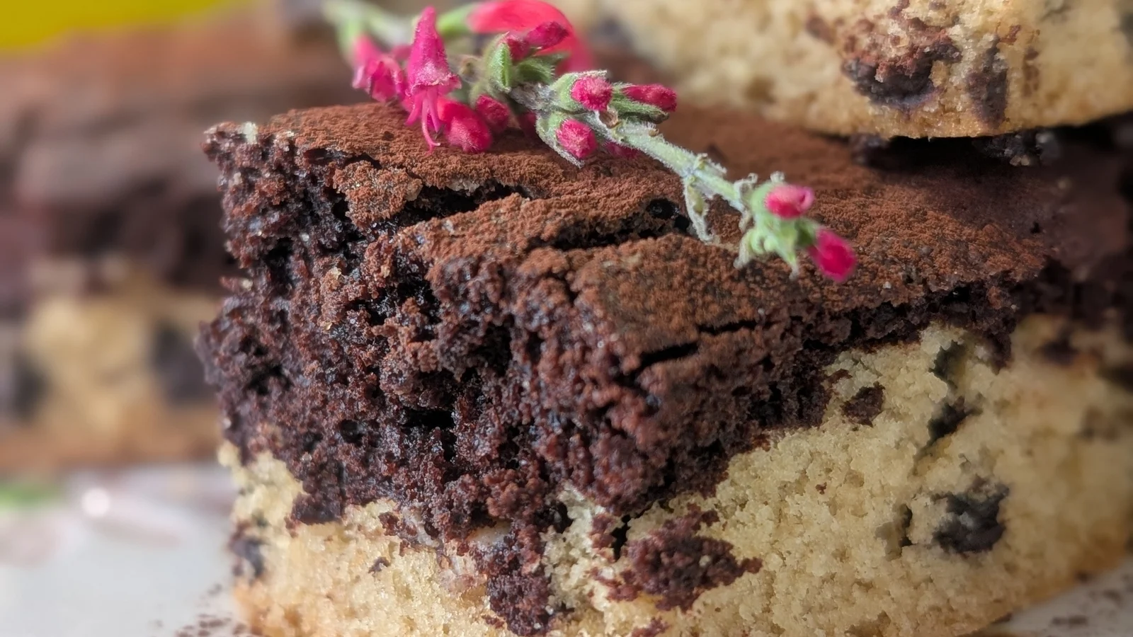 Les brookies (brownies & cookies) de Catherine Fulvio : Aujourd'hui