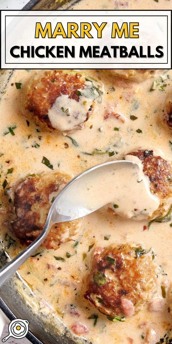 Épouse-moi des boulettes de viande de poulet image d'épingle