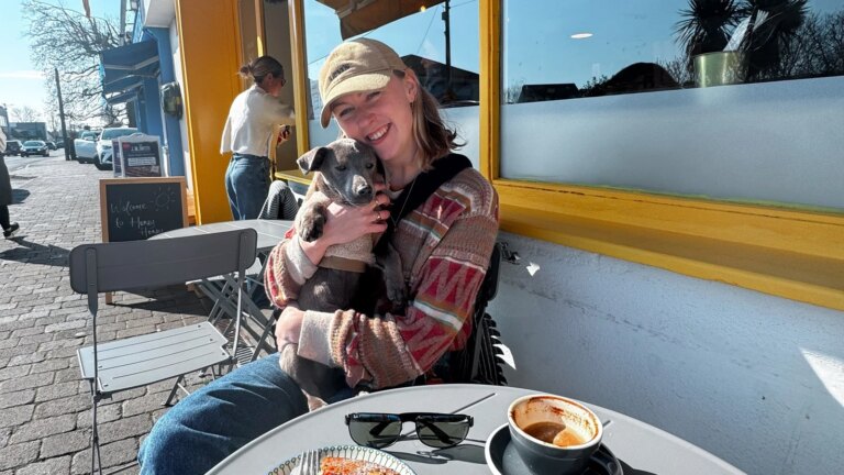 15 cafés dog-friendly à Dublin à visiter pour un puppuccino