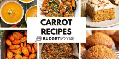 15 recettes faciles de carottes