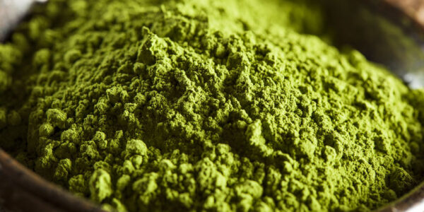 Quel grade de matcha choisir pour un coffee shop ?