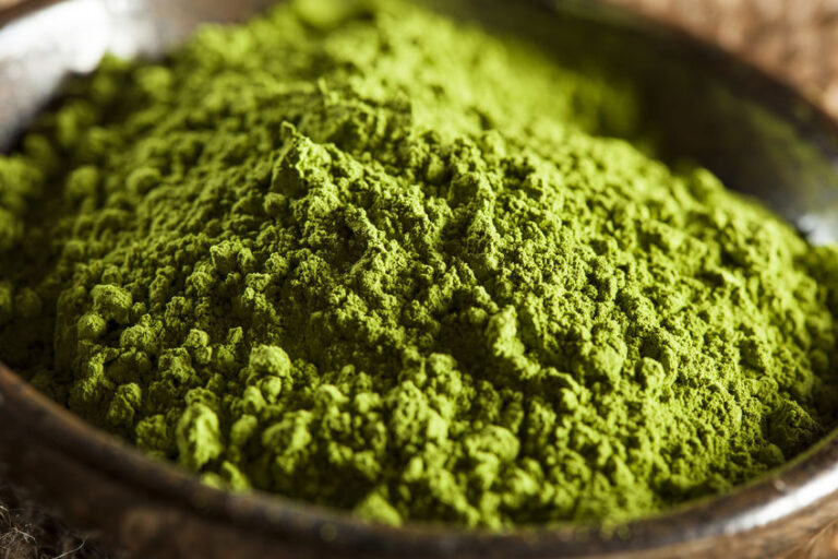Quel grade de matcha choisir pour un coffee shop ?