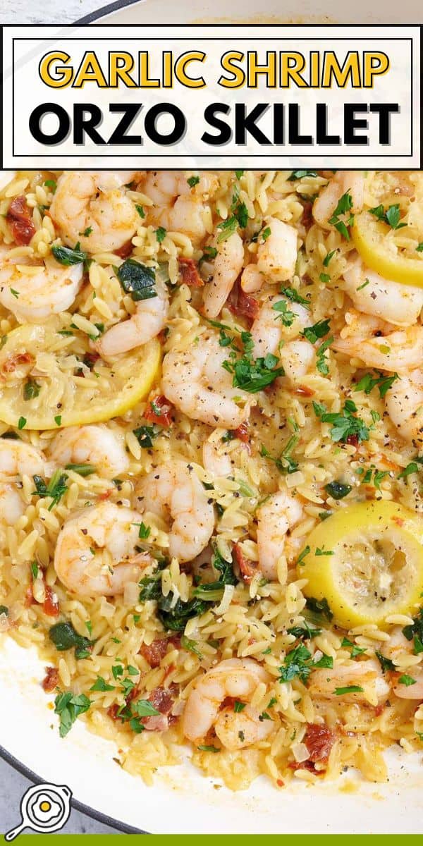 image d'épingle à la poêle à l'ail et aux crevettes à l'orzo