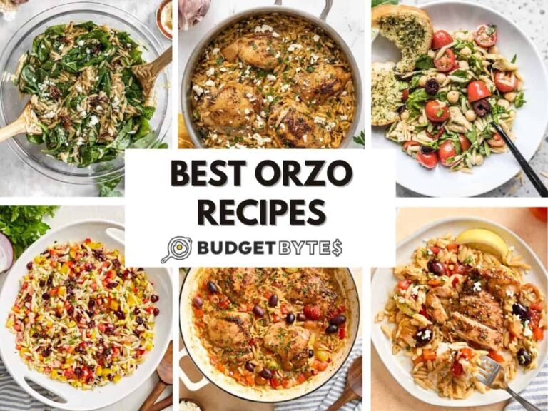 A collage of orzo recipes.