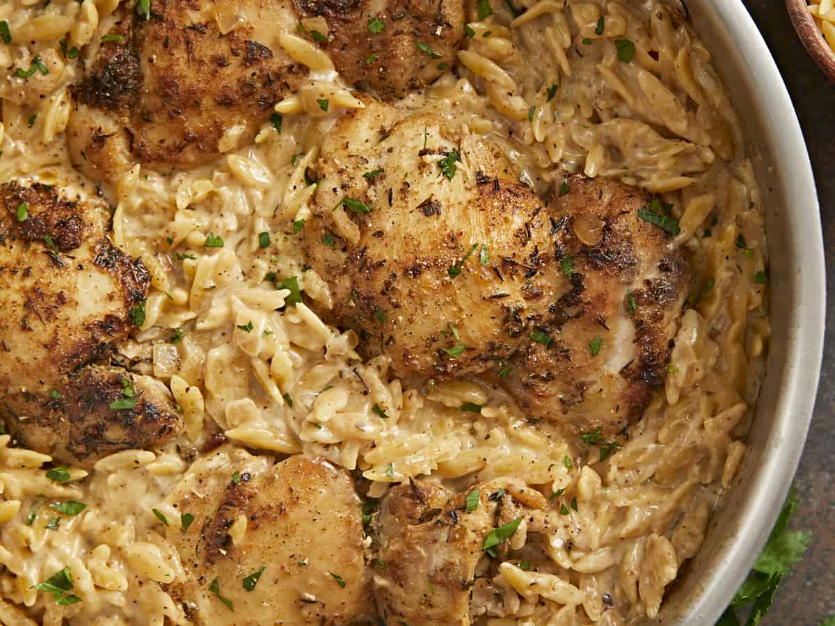 Gros plan de poulet crémeux et d'orzo.