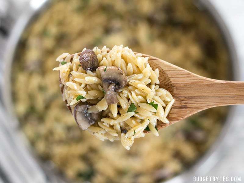 Une cuillère dans un bol d'orzo portobello au parmesan.