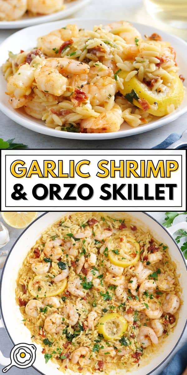 image d'épingle à la poêle à l'ail et aux crevettes à l'orzo